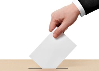 Warum sollte man wählen gehen und was sollte man über politische Wahlen wissen?