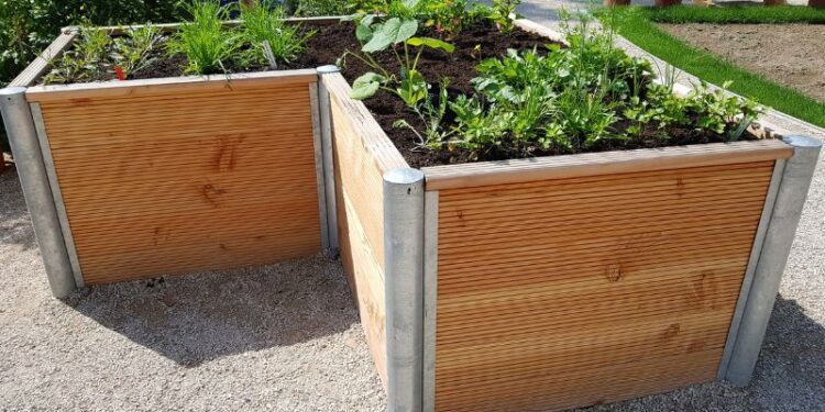 Hochbeet bepflanzen – so geht es