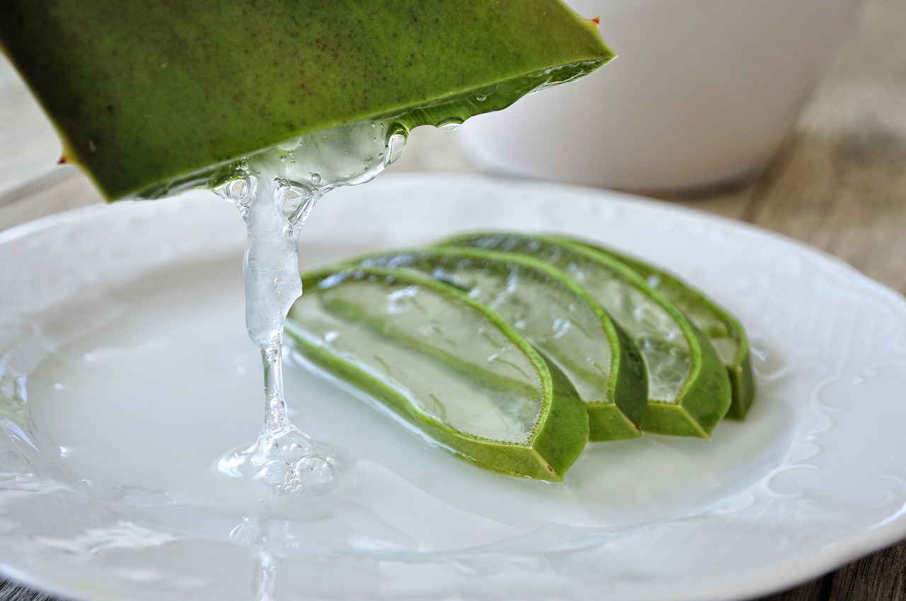 Aloe Vera - Die Heilpflanze mit der kühlenden Wirkung