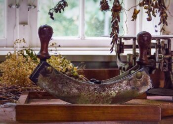 Gesundheit - Die 20 beliebtesten Hausmittel