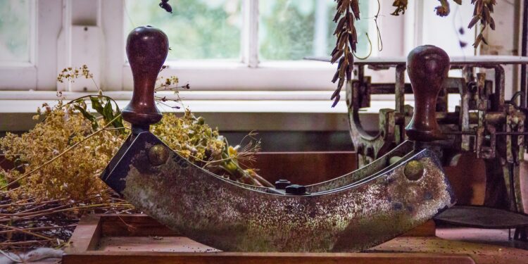 Gesundheit - Die 20 beliebtesten Hausmittel