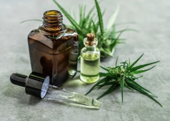 Grünes Potenzial: Die vielseitige Rolle von Cannabis im heutigen Leben