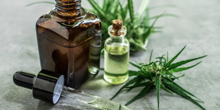 Grünes Potenzial: Die vielseitige Rolle von Cannabis im heutigen Leben