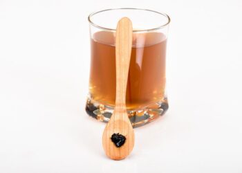 Shilajit Kapseln: Das Wundermittel aus dem Himalaya?