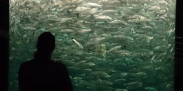 Was ist Fishing im Dating?