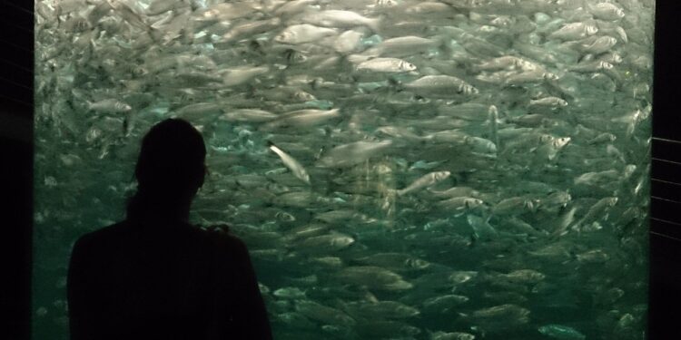 Was ist Fishing im Dating?