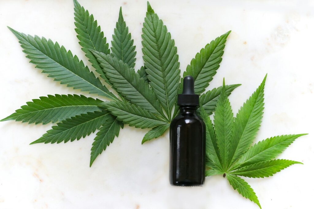 Die Vielfalt der CBD-Sorten: Von beruhigend bis belebend