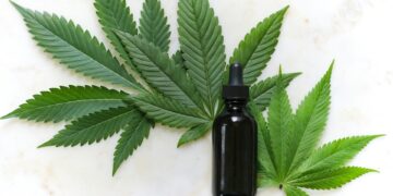 Die Vielfalt der CBD-Sorten: Von beruhigend bis belebend