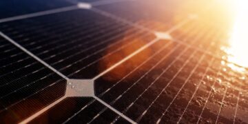 Solarpanels auf dem Dach: So senken Sie Ihre Energiekosten