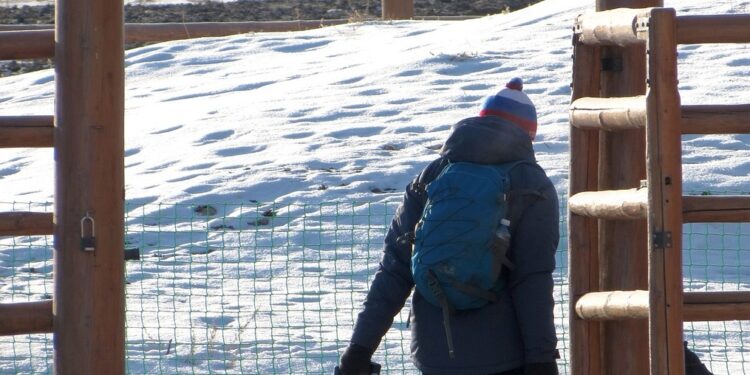 Was bedeutet Zombieing im Dating?