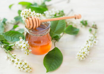 Heilmittel oder Hype? Eine kritische Betrachtung der Popularität von Manuka-Honig