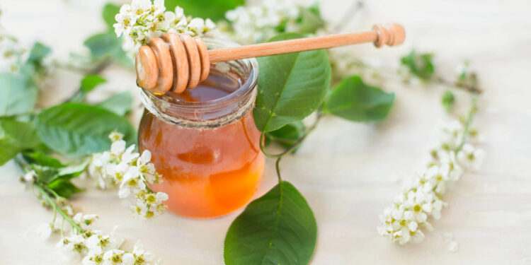 Heilmittel oder Hype? Eine kritische Betrachtung der Popularität von Manuka-Honig