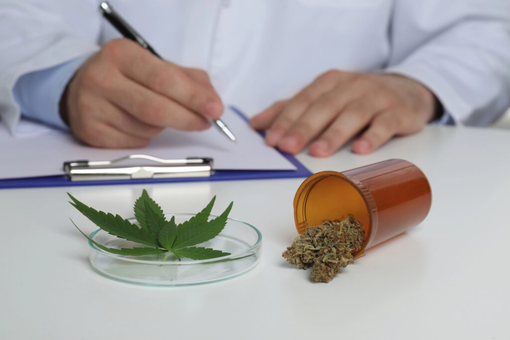 Medizinisches Cannabis in Deutschland: Rechtliche Grundlagen und aktuelle Entwicklungen