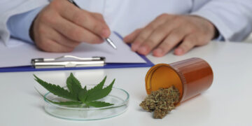 Medizinisches Cannabis in Deutschland: Rechtliche Grundlagen und aktuelle Entwicklungen