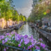 Amsterdam im Frühling Welche Outdoor-Erlebnisse sich wirklich lohnen